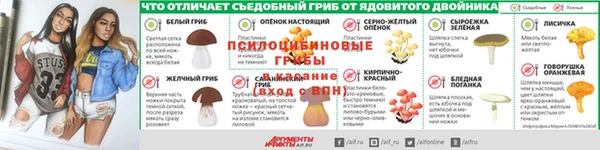 прущая мука Аркадак