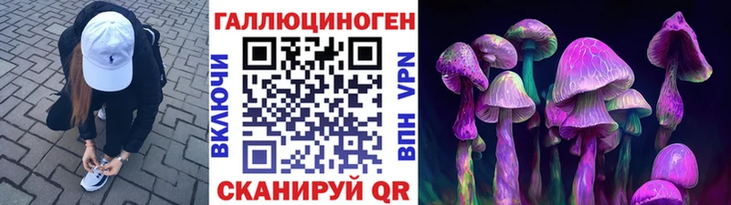 hydra маркетплейс  Новоалтайск  Галлюциногенные грибы мицелий 